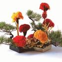 JACCC Announces Ohara School of Ikebana Exhibition Video